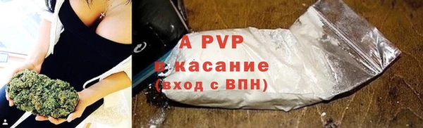 молекула духа Медвежьегорск