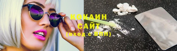молекула духа Медвежьегорск