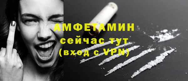 молекула духа Медвежьегорск