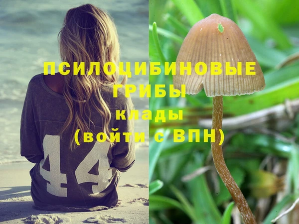 молекула духа Медвежьегорск