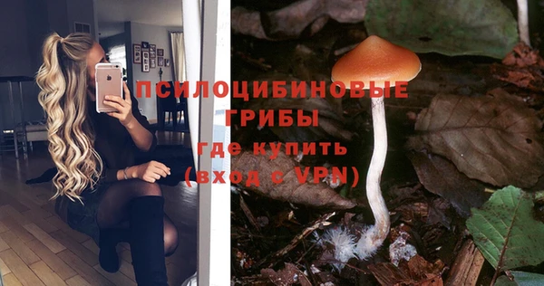 бошки Медногорск
