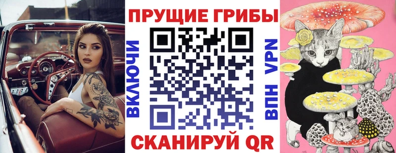 где купить   Лысьва  Галлюциногенные грибы Magic Shrooms 