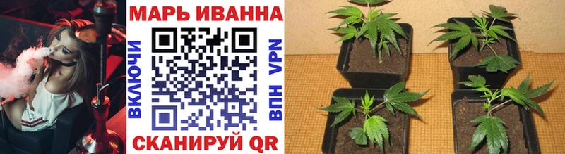 маркетплейс официальный сайт  Лысьва  Бошки Шишки конопля 